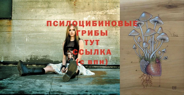 гашик Абдулино