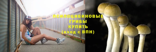 гашик Абдулино