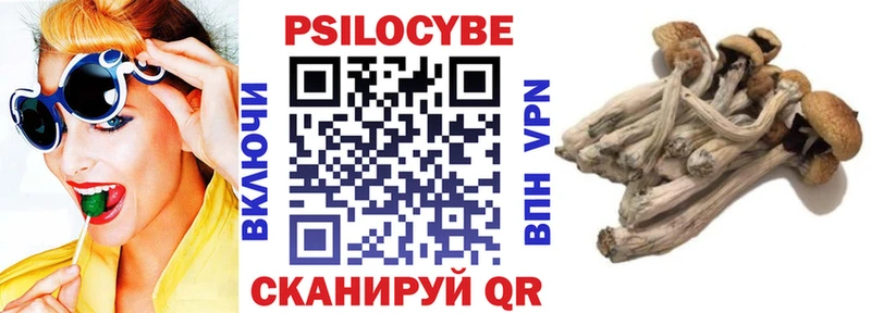 где можно купить   МЕГА рабочий сайт  Псилоцибиновые грибы ЛСД  Питкяранта 